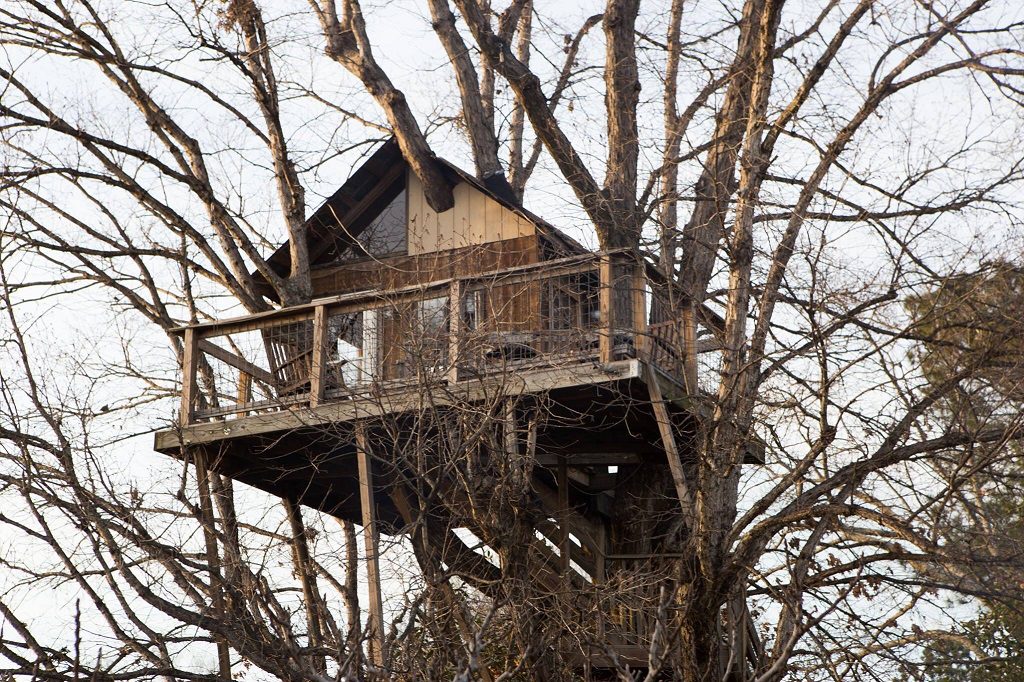 treehouse glamping at Treehouse Vineyards. Photo credit: Treehouse Vineyards